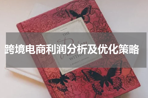  跨境电商利润分析及优化策略
