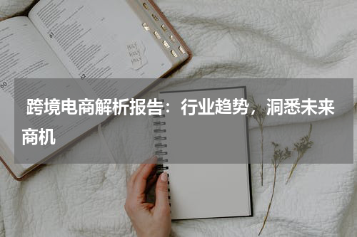  跨境电商解析报告：行业趋势，洞悉未来商机