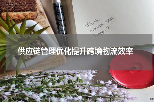  供应链管理优化提升跨境物流效率