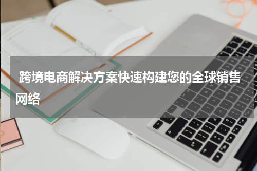  跨境电商解决方案快速构建您的全球销售网络