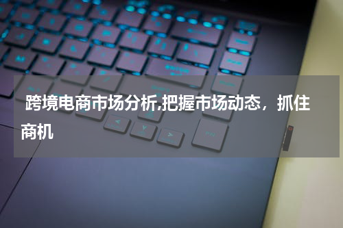  跨境电商市场分析,把握市场动态，抓住商机