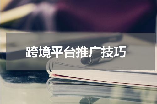  跨境平台推广技巧