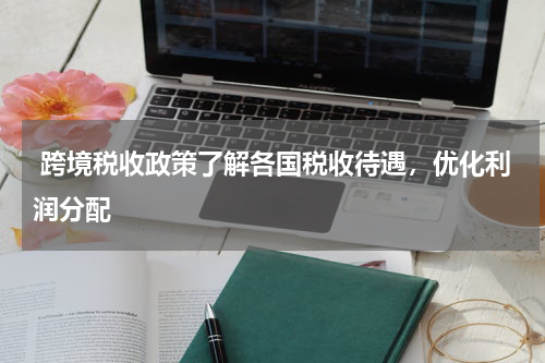  跨境税收政策了解各国税收待遇，优化利润分配