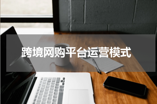  跨境网购平台运营模式