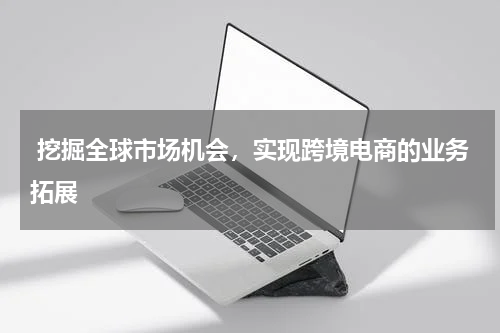  挖掘全球市场机会，实现跨境电商的业务拓展