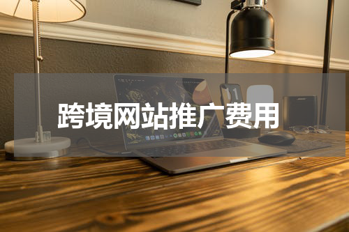  跨境网站推广费用