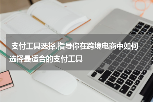  支付工具选择,指导你在跨境电商中如何选择最适合的支付工具