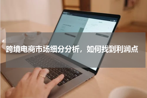  跨境电商市场细分分析，如何找到利润点