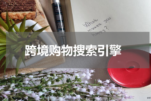  跨境购物搜索引擎