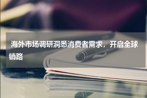  海外市场调研洞悉消费者需求，开启全球销路