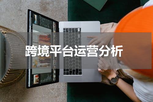  跨境平台运营分析