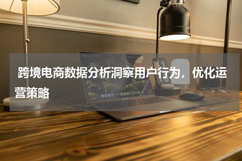  跨境电商数据分析洞察用户行为，优化运营策略