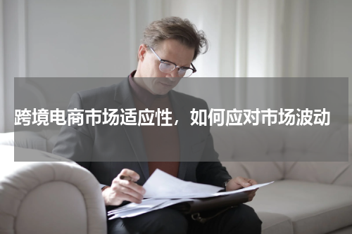  跨境电商市场适应性，如何应对市场波动