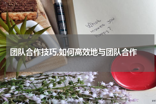  团队合作技巧,如何高效地与团队合作