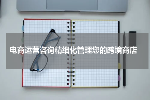  电商运营咨询精细化管理您的跨境商店