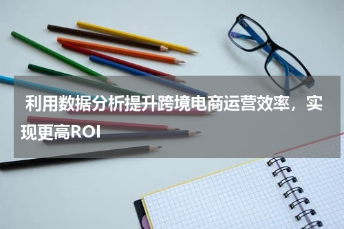  利用数据分析提升跨境电商运营效率，实现更高ROI