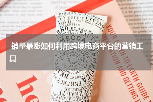  销量暴涨如何利用跨境电商平台的营销工具