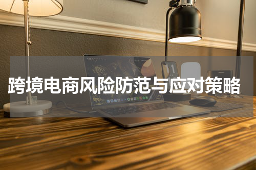  跨境电商风险防范与应对策略