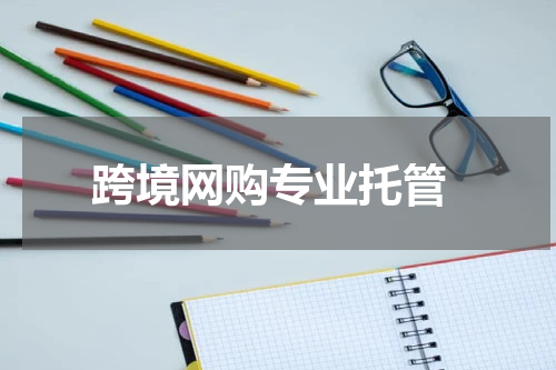  跨境网购专业托管