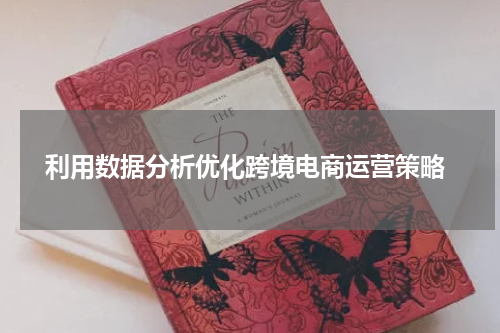  利用数据分析优化跨境电商运营策略