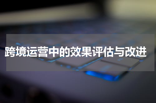  跨境运营中的效果评估与改进