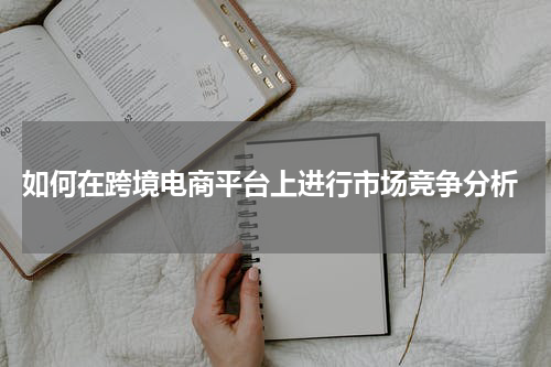  如何在跨境电商平台上进行市场竞争分析
