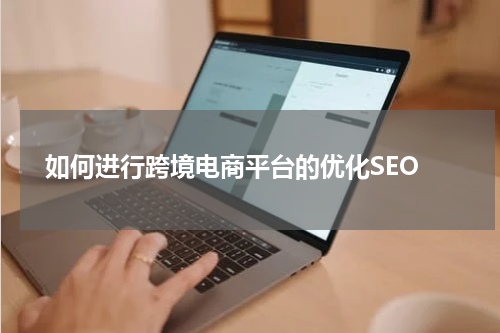  如何进行跨境电商平台的优化SEO