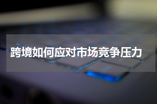  跨境如何应对市场竞争压力