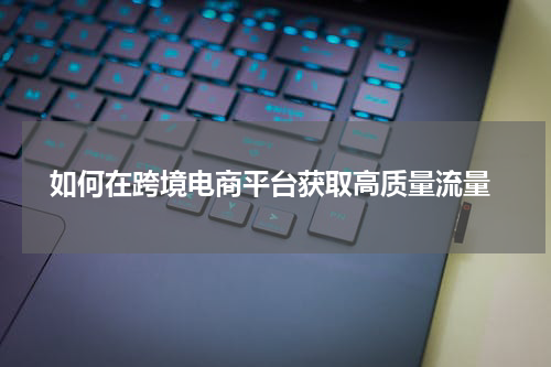  如何在跨境电商平台获取高质量流量