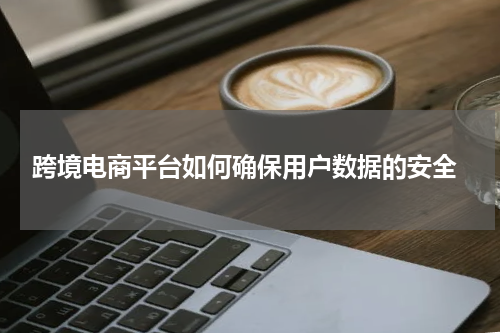  跨境电商平台如何确保用户数据的安全