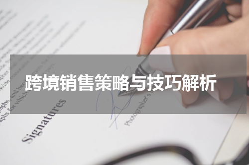  跨境销售策略与技巧解析