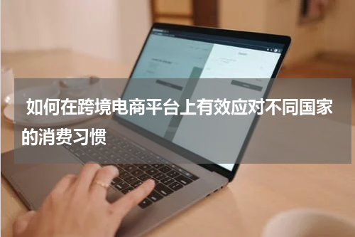  如何在跨境电商平台上有效应对不同国家的消费习惯