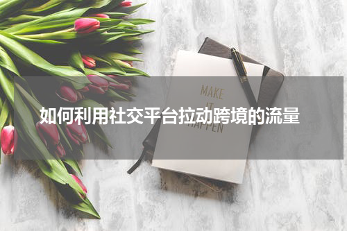  如何利用社交平台拉动跨境的流量