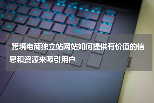  跨境电商独立站网站如何提供有价值的信息和资源来吸引用户  