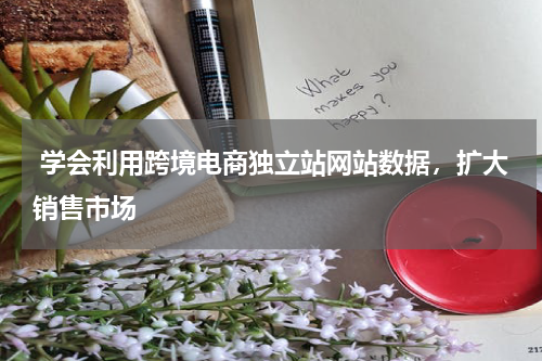  学会利用跨境电商独立站网站数据，扩大销售市场  
