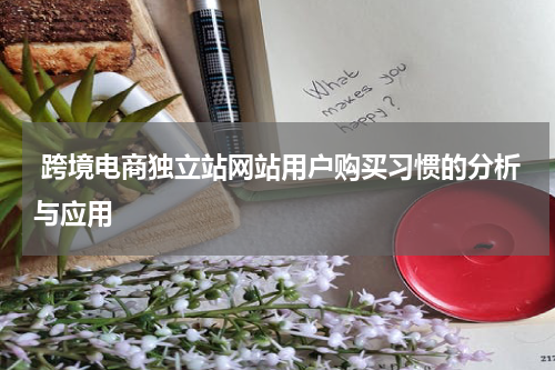  跨境电商独立站网站用户购买习惯的分析与应用  