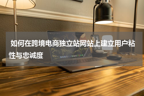  如何在跨境电商独立站网站上建立用户粘性与忠诚度  