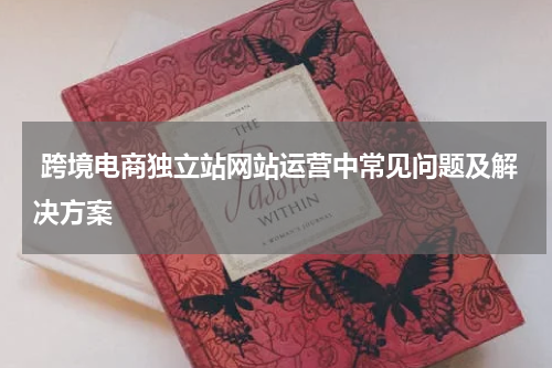  跨境电商独立站网站运营中常见问题及解决方案  