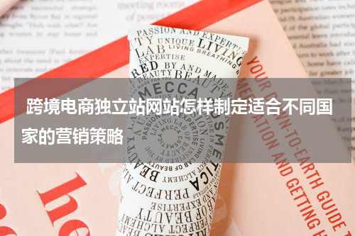  跨境电商独立站网站怎样制定适合不同国家的营销策略  