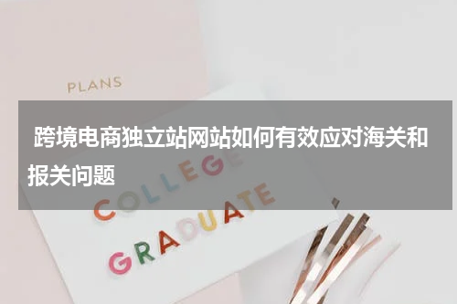  跨境电商独立站网站如何有效应对海关和报关问题  