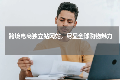  跨境电商独立站网站，尽显全球购物魅力  