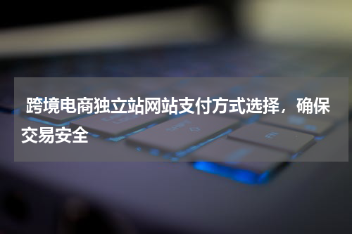  跨境电商独立站网站支付方式选择，确保交易安全  