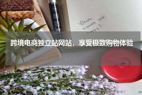  跨境电商独立站网站，享受极致购物体验  