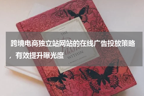  跨境电商独立站网站的在线广告投放策略，有效提升曝光度 