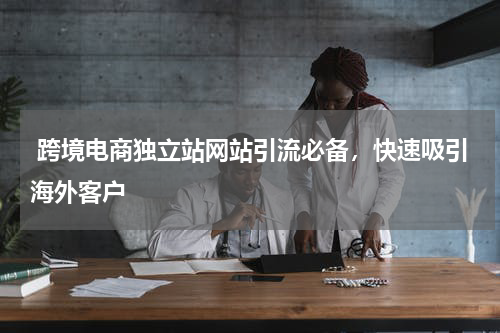  跨境电商独立站网站引流必备，快速吸引海外客户  