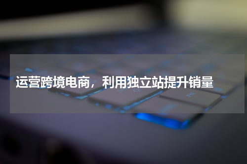  运营跨境电商，利用独立站提升销量 