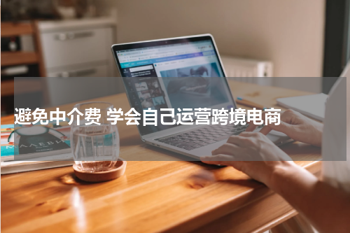  避免中介费 学会自己运营跨境电商  