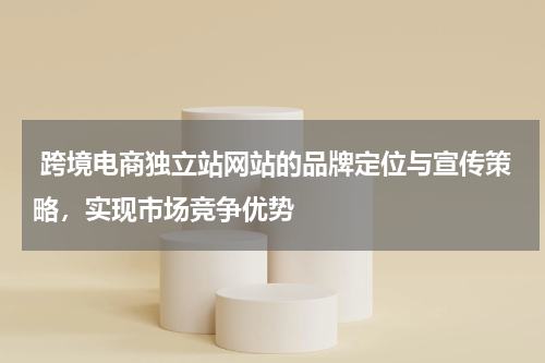 跨境电商独立站网站的品牌定位与宣传策略，实现市场竞争优势 