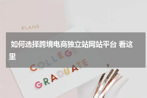  如何选择跨境电商独立站网站平台 看这里  