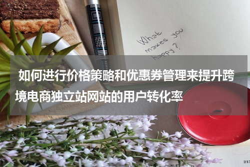  如何进行价格策略和优惠券管理来提升跨境电商独立站网站的用户转化率  